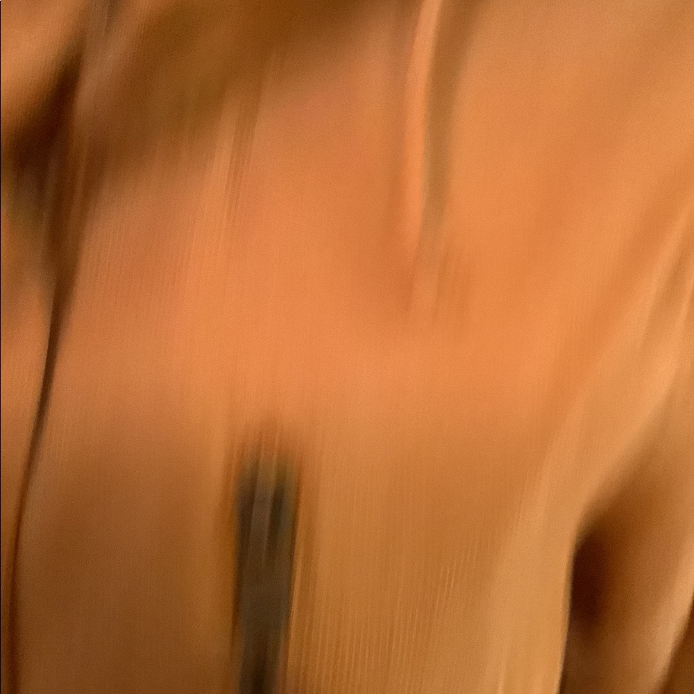 Lightweight Fall Colored Jacket - image 5